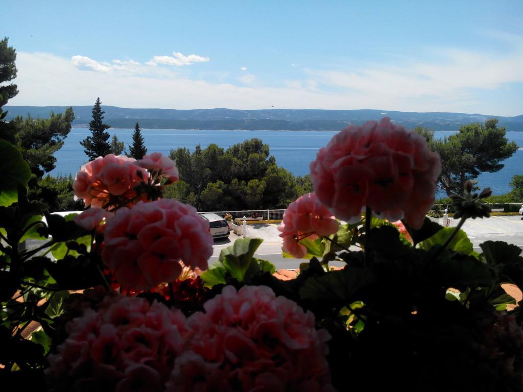 Villa Ljetni San Omiš Zewnętrze zdjęcie
