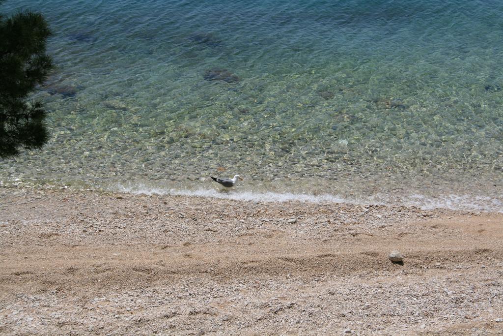 Villa Ljetni San Omiš Zewnętrze zdjęcie